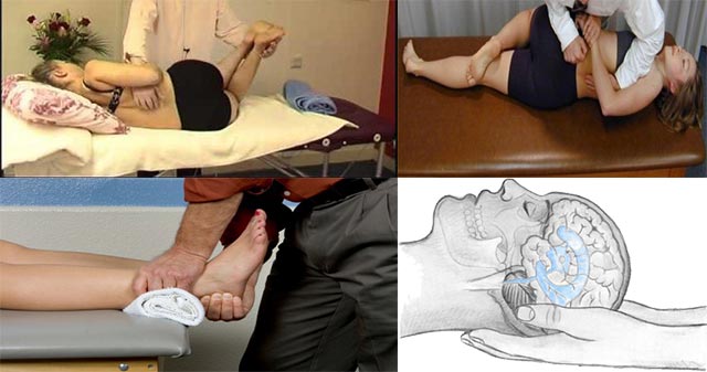 fisio2.jpg