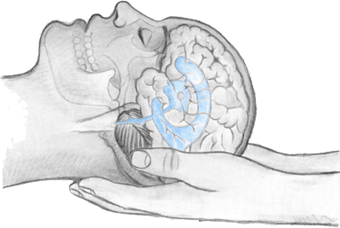 operatore terapia cranio sacrale